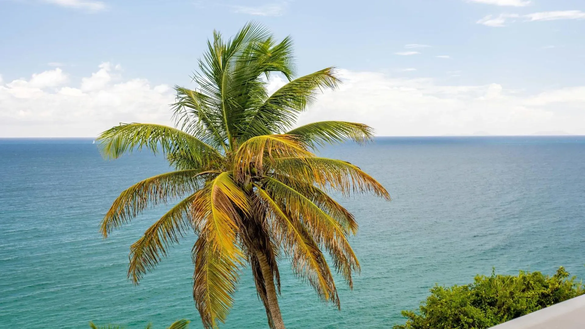 Villa Summer Forever Le Gosier  Guadeloupe